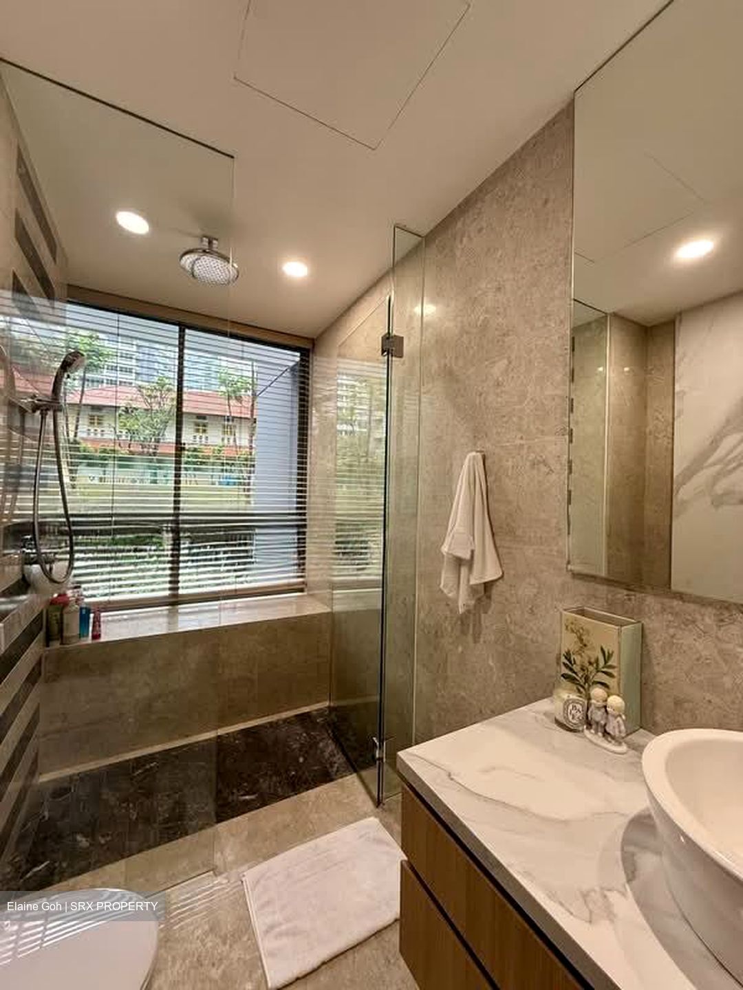 CityVista Residences (D9), Condominium #572277011